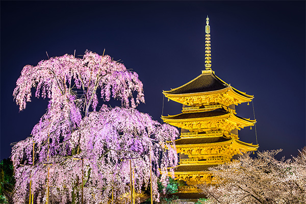 公園景觀照明工程