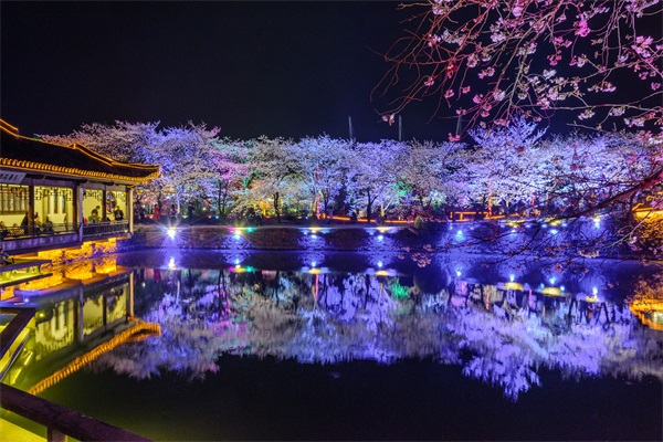 園林夜景照明