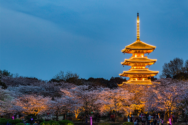 公園夜景照明工程